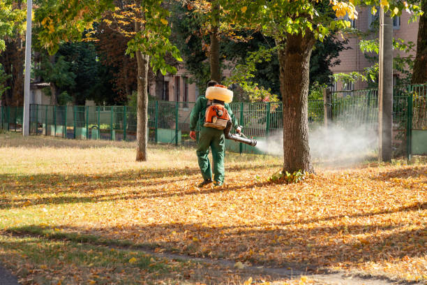 Best Best Pest Control Companies  in Mountain Iron, MN