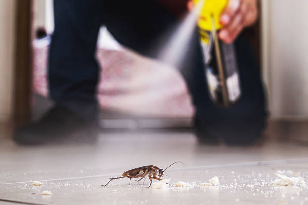 Best Wildlife Control Services  in Mountain Iron, MN