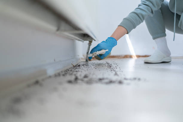 Best Pest Prevention Services  in Mountain Iron, MN